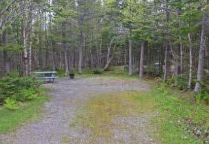 semiserviced sites (electricity and water), laundry facilities (coin operated washer and dryers) and 6 rustic cabins equipped with beds, furniture, includes wood stove with bundle