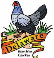 s state bird is the beautiful Blue Hen Chicken. This bird became the official state bird in 1939.
