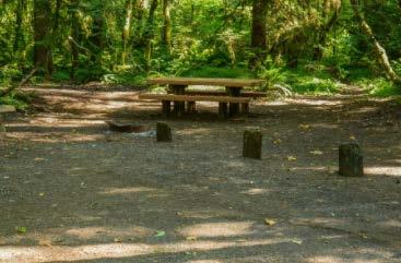 Rate: $18 McKenzie Bridge, OR (541) 822-3381 This 13-site campground rests in the shade of a towering grove of Douglas-fir and western red cedar along the banks of the McKenzie River and provides an