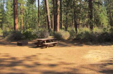 There are bike trails and hiking trails leading out of the campground.