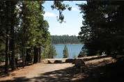 The lake has a small sand beach and an easily accessible shoreline for fishing. This campground has a very nice covered group picnic area. From Burns, OR.