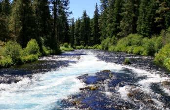 Rate: $16 Camp Sherman, OR (541) 338-7869 Camp Sherman Campground is nestled on the banks of the scenic Metolius River in Deschutes National Forest.