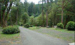 situated among old growth fir trees along the North Fork of the Coquille River.
