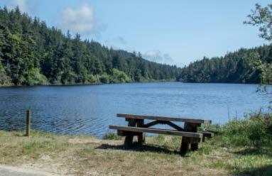 Rate: $20 81800 Hwy 101 Gardiner, OR (541) 271-6000 Carter Lake Campground is a family favorite in the Oregon Dunes Area.