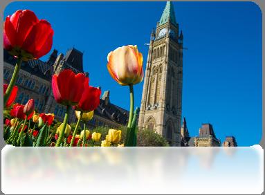 Présentations étudiants Association d experts en matière de qualité œuvrant à la promotion d un Canada inclusif et durable DATE DE REMISE DES TEXTES, LE 15 JUIN 2017 Les critères suivants vont aider