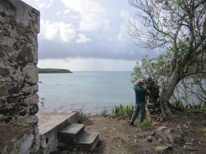 Lameshur Bay Plantation Ruins, Gravesites, Yawzi Point Trail, and Yawzi Point Ruins: These sites have unofficially been adopted by ConservationVIP