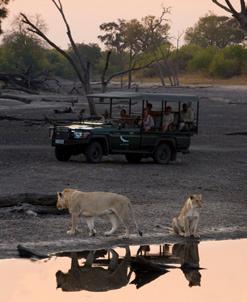 Your mobile camping adventure is fully inclusive from the time you arrive in Botswana, every aspect of your journey will be conveniently organised