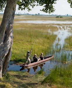 Best of Northern Botswana Chobe, Savute, private concessions in the Okavango Delta.