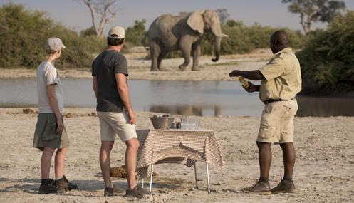 Chobe National Park is home to thrilling action-packed wildlife interactions and the largest concentration of elephants in Africa.