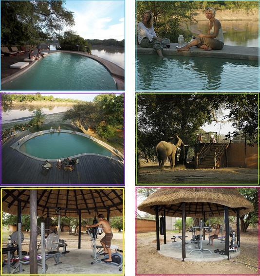 TRACK & TRAIL RIVER CAMP Track & Trail River Camp is a privately owned lodge located on a breathtaking spot on the banks of the Luangwa River overlooking the South Luangwa National Park.