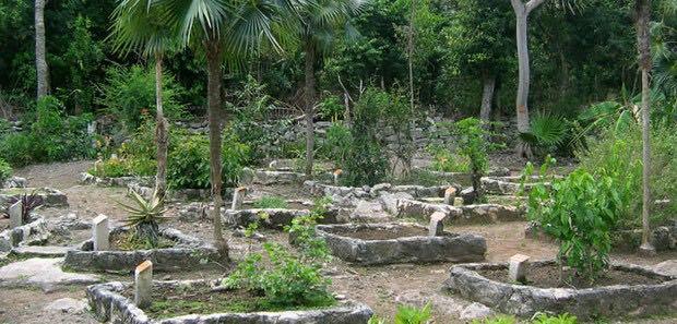Botanical Gardens at Ek Balam Work