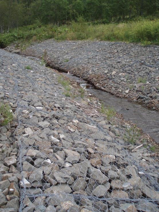 The main channel is protected on both banks by reno matting, but the positioning of these have resulted in a noticeable narrowing of the channel (Photo 2) and this had also