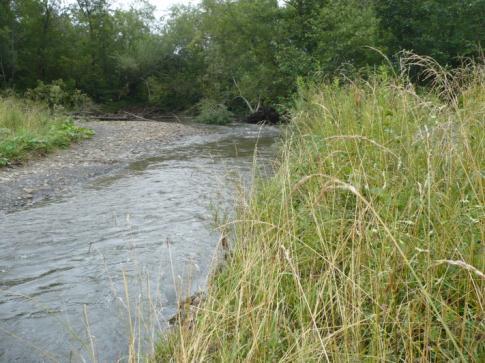 The river banks at the crossing are well protected with Reno mats and thick vegetation (Photo 1 and 2).