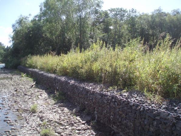 mattings and a gabion wall on both banks (Photos 1 and 2).