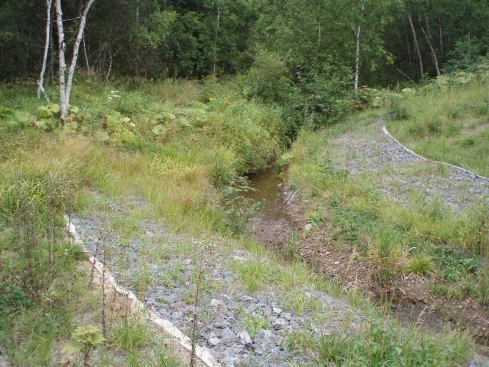 The slopes are protected slope breakers that were seen to be in reasonable condition (Photo