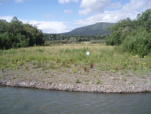 Photo 1 View downstream showing Reno matting on the north bank and gabions on the
