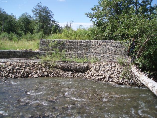 The banks are protected by gabion walls and Reno matting and appear in to be good