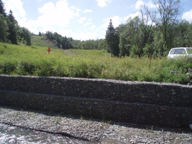gabion walls on both banks (Photo 1).