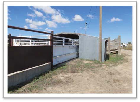 floor, storage shed, livestock sheds and