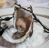 from the classic Oysters Rockefeller to our signature Oysters Shelbourne,