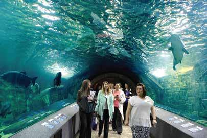 15 Member Orientation at Newport Aquarium FINANCES RESPONSIBLE COMMUNITY INVESTMENT As part of an organizational dedication to diverse business spending, the CVB tracks annual spend with small,