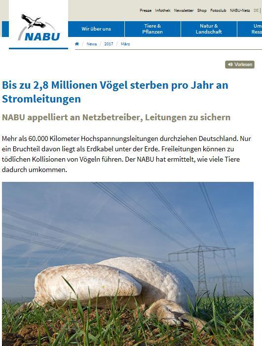Germany: 2,8 million birds killed/year through collission on high voltage power lines and
