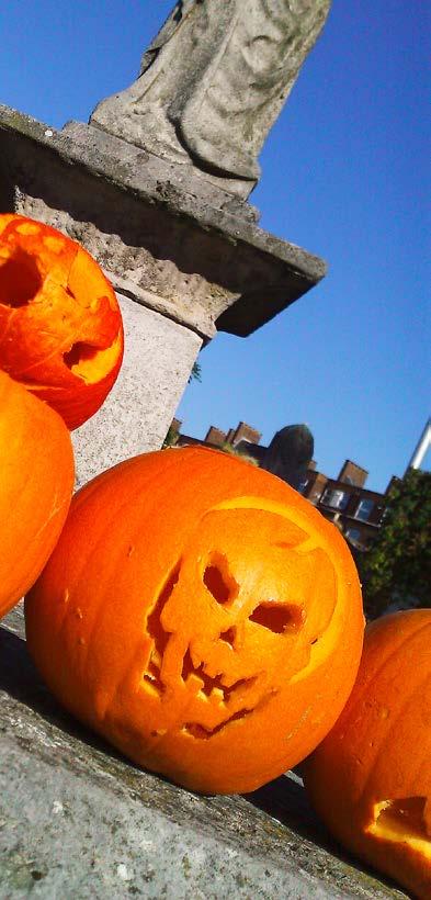 The Friends of Tower Hamlets Cemetery Park Autumn & Winter Events