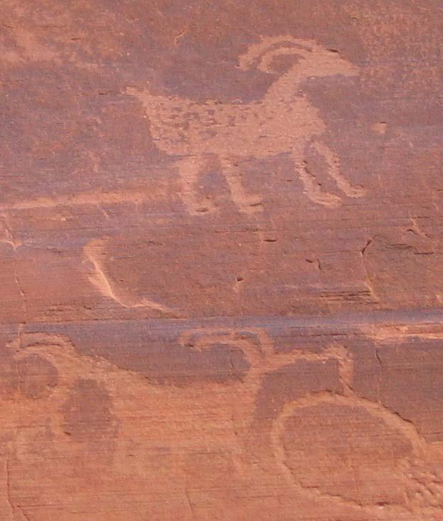 Lower Right: Ancient rock art on the walls of tributary canyons is at increased risk
