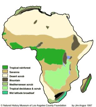 SS7G1 The student will locate selected features of Africa.