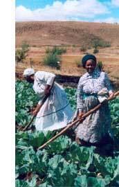 Most Africans are subsistence farmers which means