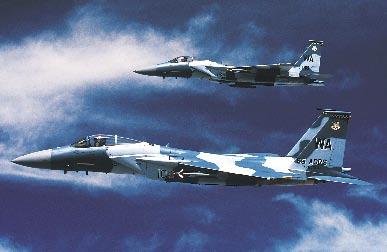 Aspiring Aggressors must work through a formal syllabus of 23 sorties and classroom training.