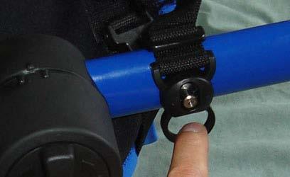 Unclip the cart clip Position the animal with its hips lined up to the plastic knuckle section of the cart.