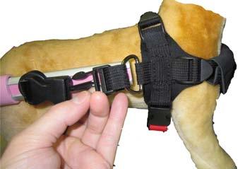 Method 1: - Clip the leg rings into the cart and lift dog s back legs into leg rings.
