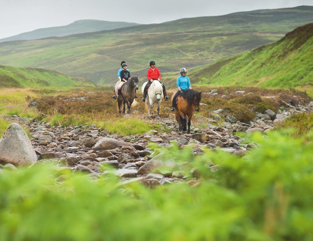 Pony Trekking For a traditional adventure, see the estate from the back of a sure-footed, Atholl-bred, highland pony on a gentle ride or longer trek.