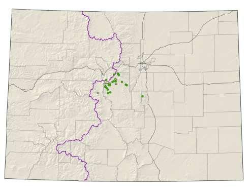 Ptilagrostis porteri Porter feathergrass Federal status: USFS sensitive Heritage ranks: G2/S2 Global distribution: Colorado (El Paso, Lake, Park and Summit counties); northern NM Elevation range: