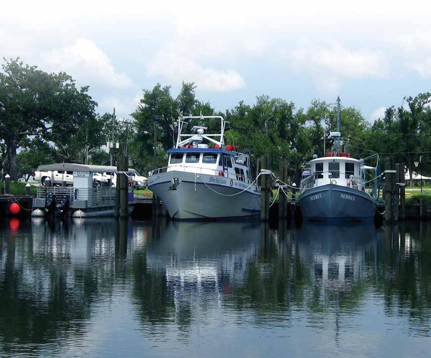 Vessels Gulf Coast Research Laboratory boasts a fleet of research vessels, all available for charter. Call 228.818.8847 for pricing and availability.