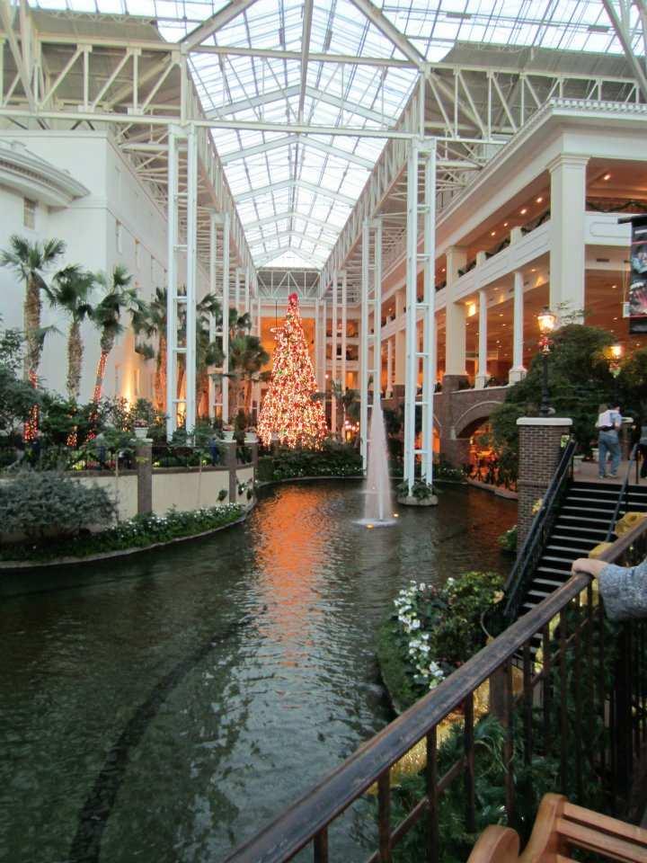 On the banks of the Cumberland, the awe-inspiring Gaylord Opryland Hotel invites you to experience all of the energy