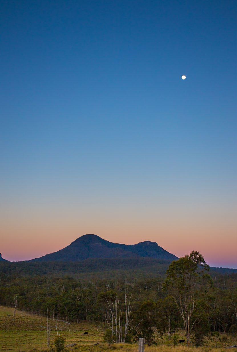 Experience wild luxury as you traverse through the Scenic Rim, only one hour from Brisbane.