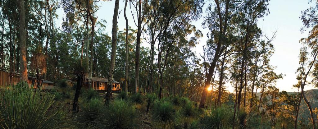 TRAILHEAD TO SPICERS MOUNT MISTAKE FARMHOUSE Five nights single or twin Bush Camps All meals Select beverages Experienced trail guide Hiking gear including day pack, hydration