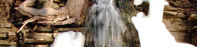 Its flow is derived from natural springs bubbling to the surface and this water then flows through a culvert under the private roadway to
