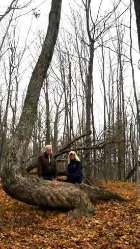 Read this article, then take a walk through the woods, read the landscape and listen to the stories it tells! These Trees Have Secret Native American Codes. Their Meaning? Brilliant!