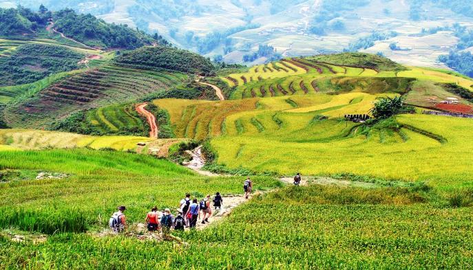 minority groups in the Sapa). After that, you will continue your trekking along Muong Hoa stream, paddy field to Ta Van village, visit and understand about "Zay" ethnic people.