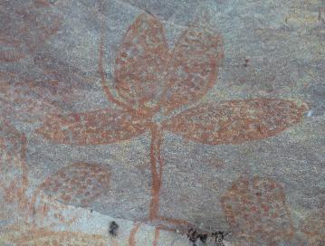 Everywhere we go, we find Aboriginal rock art, some of which is different to anything we ve seen elsewhere.