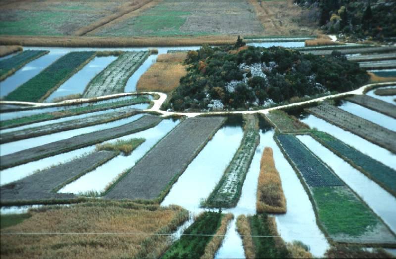 Picture 2: Trenches Picture 3: Greenhouse Today, it is the most fertile area of the middle Dalmatia, as well as of the whole Croatian seaside (Mediterranean) region, oriented on commercial