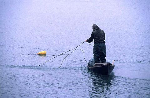 However, the Neretva valley is specific not only by its unique landscape, but also by long tradition of hard work of its inhabitants, calling themselves fishermen-farmers.