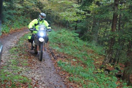 Figure 61: and Figure 62: Roaring herds of moto-bikers occasionally do wild rides in forests around PLNP