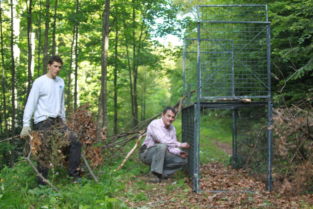 Lynx trapping in Plitvice lakes NP During 2015 and 2016, NPPJ obtained two lynx collars, made two additional box traps and purchased 25 new camera traps, all to be used inside PLNP.