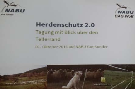 On 01.10.2016 Josip Kusak was invited by German NGO NABU (BAG Wolf) to participate at meeting named Herdenschutz 2.0. This meeting was the follow-up of the International Wolf Conference in Wolfsburg, Germany, held between 24.