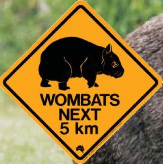 hands-on assistance and financial support to help in the rescue of real-life wombats.