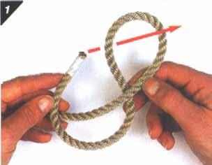 Steps for Tying a Figure-of-Eight Knot 1.